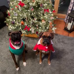 Meet your Posher, Ben